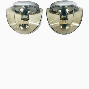 Mid-Century Smoked Glass Flush Mounts or Sconces from Hillebrand, Germany, 1960s, Set of 2