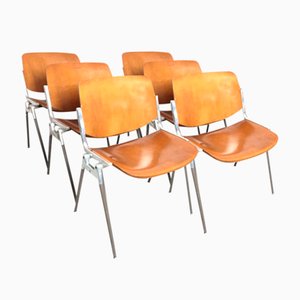 DSC 106 Desk Chairs by Giancarlo Piretti for Castelli, 1965, Set of 6
