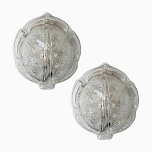 Clear Glass Leaf Wall Sconces,1970, Set of 2