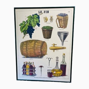 Educational Wine Poster by Emile Deyrolle for Richier & Laugier, 1950s