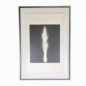 Hiroshi Sugimoto, In Praise of Shadows, 2003, Lithograph, Framed