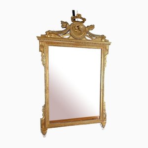 Louis XVI Style Golden Wood Mirror, Late 19th Century