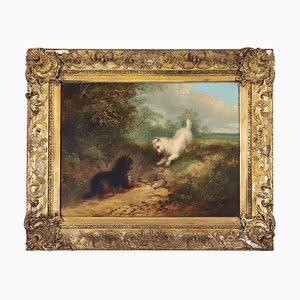 Italian Artist, Dogs, Oil on Canvas, 19th Century, Framed