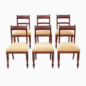 Antique Mahogany Dining Chairs, 19th Century, Set of 6