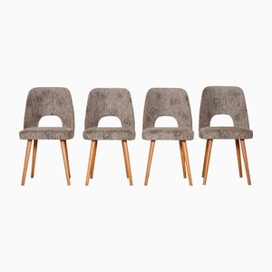 Czech Grey and Brown Ash Chairs by Oswald Haerdtl, 1950s, Set of 4