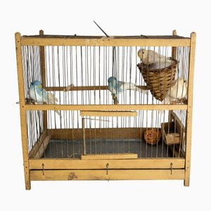 Antique French Country Poplar & Iron Bird Cage, 1900