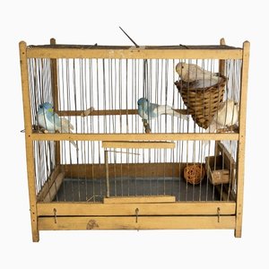 Cage à Oiseaux Antique en Peuplier et Fer, France, 1900