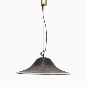 Large Ceiling Light from Peill & Putzler