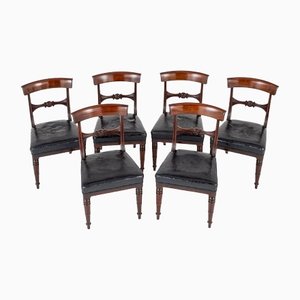 Regency Dining Chairs Mahogany, Set of 6