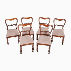 Set Victorian Balloon Back Dining Chairs in Mahogany, Set of 2