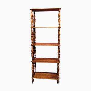 Italian 19th Century Regency Style Rustic Walnut Open Shelves Bookcase