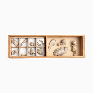 Cajón de arte escultural Cabinet of Curiosities, años 50