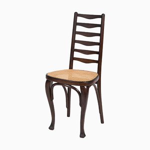 Set of Dining Chair from Thonet, 1910s