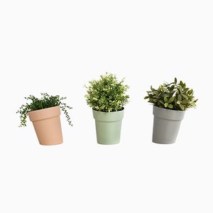 Distorted Flowerpots from Studio Lorier, Set of 3