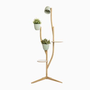 Branch-out von Studio Lorier