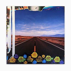 Jason Engelund, Flowers California Hwy 111 Salton Sea, Fotografie, 2022