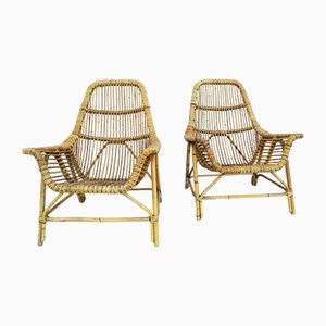 Set of Vintage Italian Jungle Armchairs by George Coslins for Gervasoni, 1956