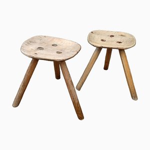Wooden Milking Tripodal Stools with Splayed Legs, 1930s, Set of 2