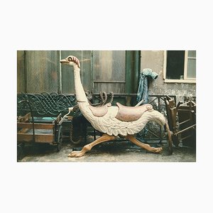 Peter Cornelius, Paris in Color: Paris Ostrich, 1956-1961 / 2022, Archival Pigment Print