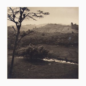 Hanna Seidel, kolumbianische Landschaft mit Wald, Schwarzweiß Fotografie, 1960er