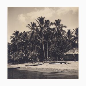 Hanna Seidel, Colombian Palm Trees on Beach, Black and White Photograph, 1960s