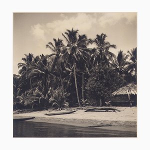 Hanna Seidel, palmeras colombianas en la playa, fotografía en blanco y negro, años 60