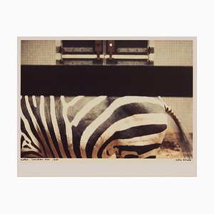 Peter Blake, Zebra, Zoológico de Londres, 1980, Cromogénico Lámina fotográfica