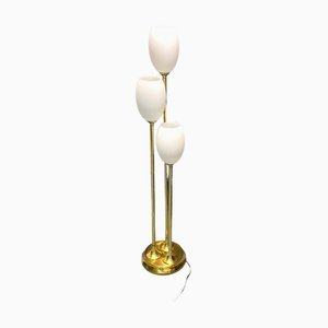 Italian Floor Lamp in Brass and Opaline Glass, 1980s