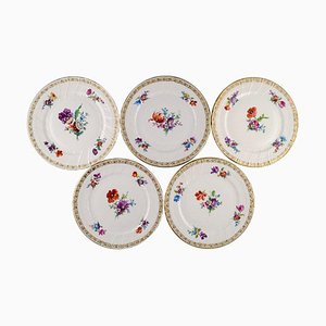 Antique Dinner Plates in Curved Porcelain, 1800s, Set of 5