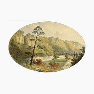 Ellis, River Derwent, Matlock, Peak District, metà XIX secolo