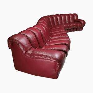 Ds-600 Snake Modular Sofa in Full Bordeaux Leather attributed to Ueli Berger for De Sede, 1970s, Set of 18