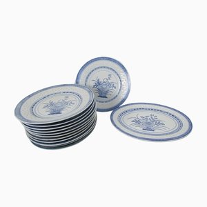 Chinesische Porzellanteller und Reiskörner, 13er Set