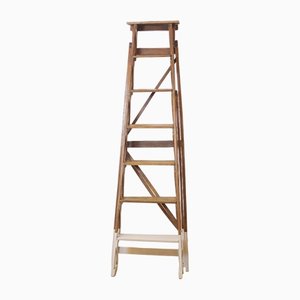 Antique Spanish Wooden Ladder, 1920s