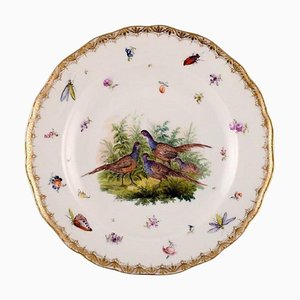 Assiette Antique en Porcelaine de Meissen avec Oiseaux et Insectes Peints à la Main
