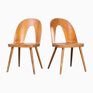 Dining Chairs by Antonin Suman for TON, 1960s, Set of 2
