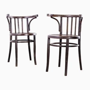 Walnut Bentwood Armchairs by Michael Thonet, 1950s, Set of 2