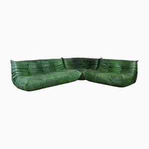 Togo Modular Sofa in Green Leather by Michel Ducaroy for Ligne Roset, 1970s, Set of 3