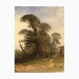 John Le Capelain, Jersey Trees, Early 19th Century, Watercolour