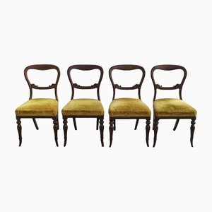British Chairs in Walnut and Yellow Velvet, Set of 4