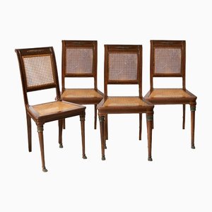 Antike Mockery Stühle mit Bronzeverzierungen, 1800er, 4 . Set