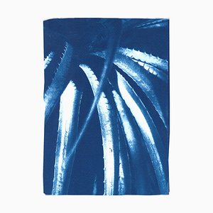 Art of Cyan, Jurassic Aloe Leaves, 2021, Cyanotype