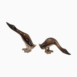 Italian Airbrushed Ducks in Ceramic by Ugo Zaccagnini, 1950s, Set of 2