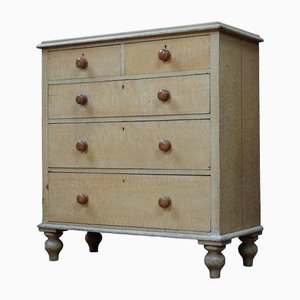 Antique Chest of Drawers in Faux Birch