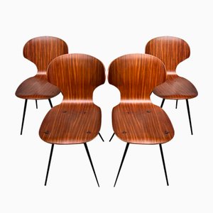 Lulli Dining Chairs attributed to Carlo Ratti, 1960s, Set of 4