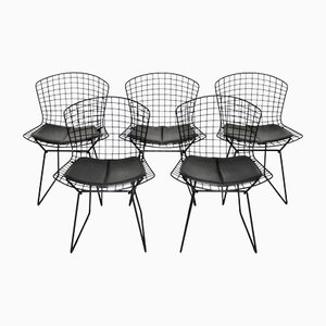 Vintage Wire Dining Chairs by Harry Bertoia attributed to Knoll from Knoll Inc. / Knoll International, 1960, Set of 5