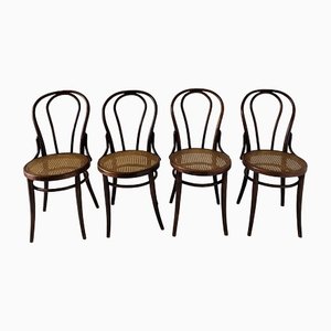Dining Chairs in the style of Thonet, 1930s, Set of 4