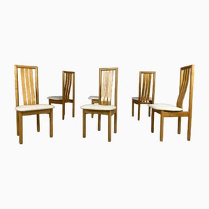 Vintage Stühle aus Ahorn, 6er Set