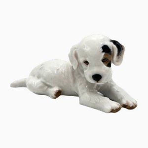 Porcelain Figurine Cavalier Dog from Rosenthal, Germany, 1920s