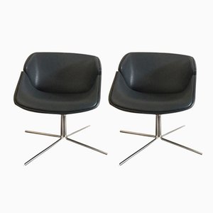 Set of Exquis Chairs by Geoffrey Harcourt for Artifort, 1960s