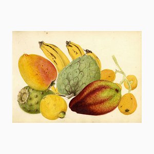 Madeira Insel Früchte: Annona, Tabaibo, Nespera, 1862, Aquarell